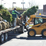 Plant Installations - Greener Horizon Landscape Management & Construction, Middleboro, MA