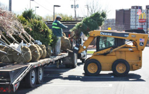 Plant Installations - Greener Horizon Landscape Management & Construction, Middleboro, MA