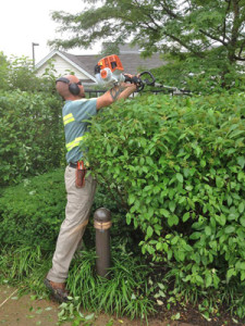 Residential Full Season Packages offered at Greener Horizon Landscape Management & Construction, Middleboro, MA