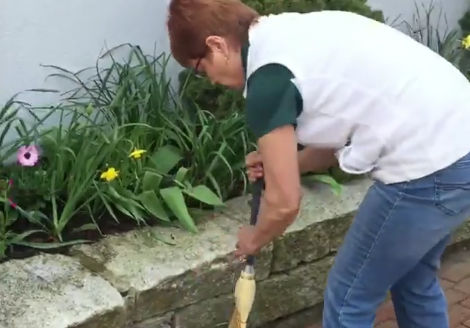 Day of Service 2016 - Greener Horizon works at Kramer Park in downtown Middleboro