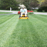 Residential Full Season Packages offered at Greener Horizon Landscape Management & Construction, Middleboro, MA