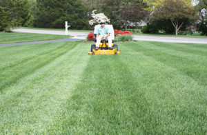 Residential Full Season Packages offered at Greener Horizon Landscape Management & Construction, Middleboro, MA