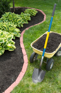 Best Type of Mulch, Greener Horizon, Central MA