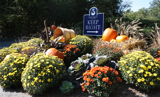 Frazzle and Aniploish: Summer Displays from Several States