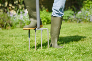 When You Should Be Aerating Your Lawn, Greener Horizon, Middleboro, MA