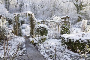 Winter is Coming: How to winterize your garden - Greener Horizon - Middleboro, MA