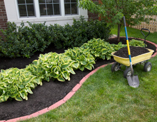 Landscaping supplies from Greener Horizon