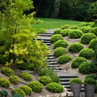 Greener Horizon offers Materials Supplies for your landscaping needs