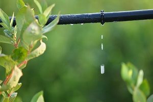 Drip Irrigation System, Water Conservation