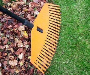 Rake and leaves