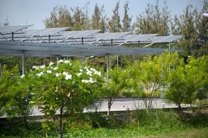 Solar cell on roof at car park.