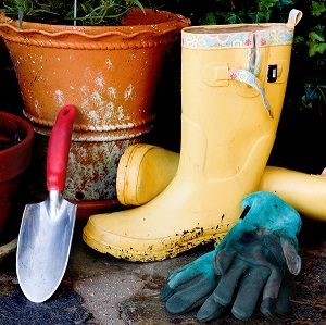 Tools for Spring Landscaping