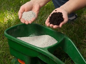 Hands holding types of lawn fertilizer above a spreader.