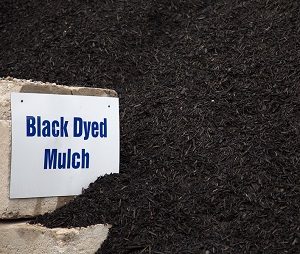 Pile of black dyed mulch with sign.