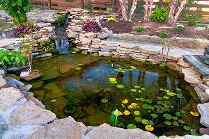 Decorative koi pond in a garden.