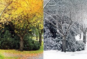 Estate in Fall and Winter