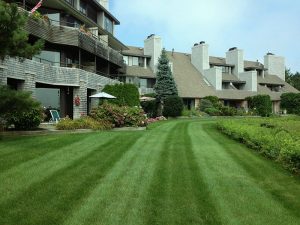 Turf Care and Lawn Packages
